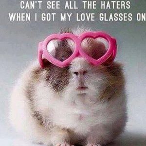 Meet your Posher, Cheryl